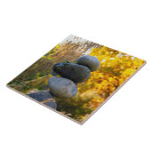 Carreau Rock Cairn Zen Garden Carrelage décoratif (Côté)