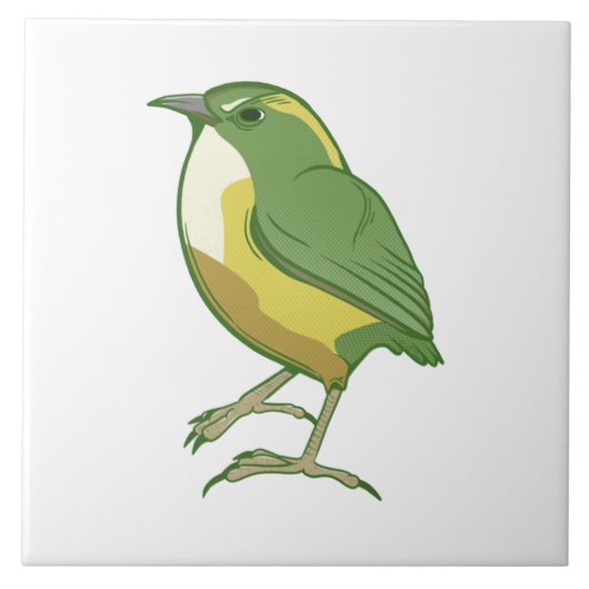 Carreau Rock Wren New Zealand Bird (Devant)