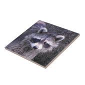 Carreau Rocky le Raccoon (Côté)