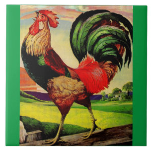 Carreau Rocky the Handsome Rooster
