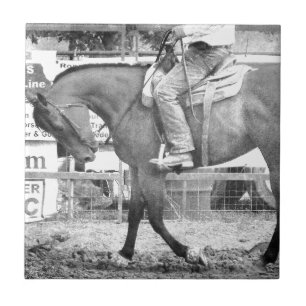 Carreau Rodeo Horse Chauffage noir et blanc