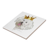 Carreau Roi Bichon Frise (Côté)