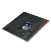 Carreau Roitelet bleu (Côté)