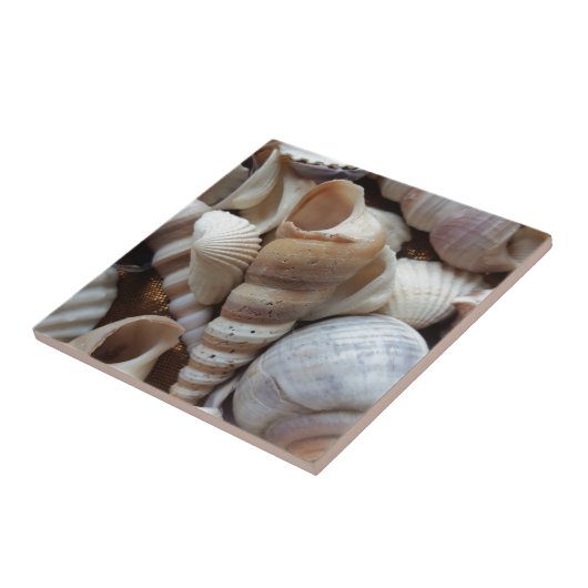 Carreau Romantique Tropical Exotic Sea Shells Plage Amour (Côté)