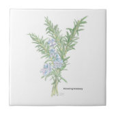 Carreau Romarin (Devant)