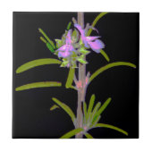 Carreau Romarin en fleurs (Devant)