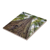 Carreau Roosevelt Grove (Côté)