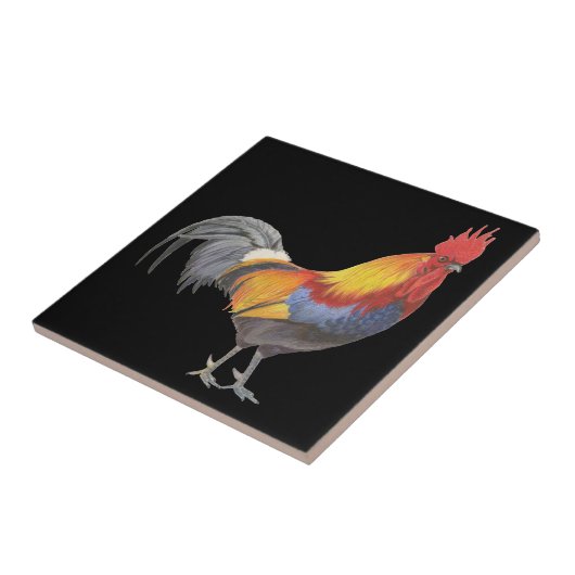 Carreau Rooster (Côté)