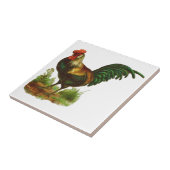 Carreau Rooster (Côté)