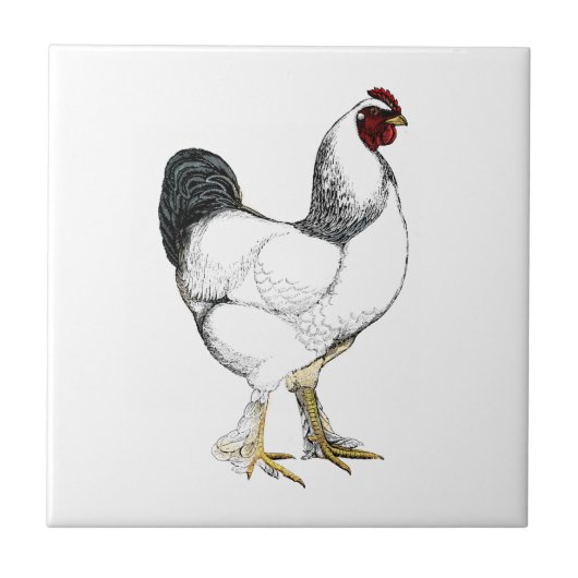 Carreau Rooster Brahma clair - Élégant poulet Vintage (Devant)
