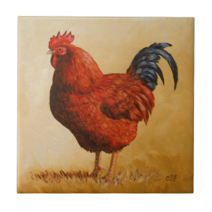Carreau Rooster chicken de Rhode Island