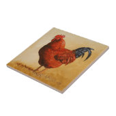 Carreau Rooster chicken de Rhode Island (Côté)