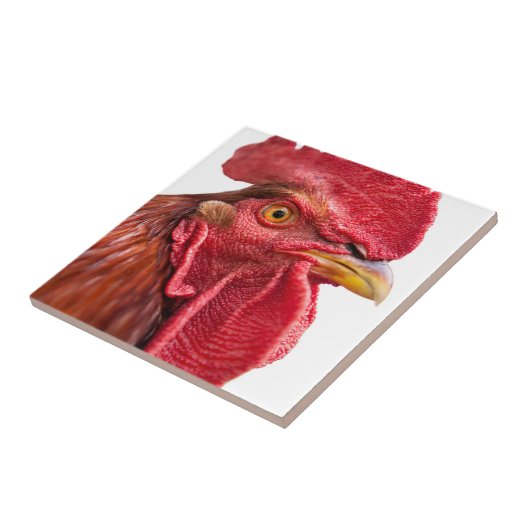 Carreau Rooster Face (Côté)