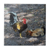 Carreau Rooster, Hen et Chicks (Devant)