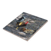 Carreau Rooster, Hen et Chicks (Côté)