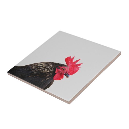 Carreau Rooster noir (Côté)