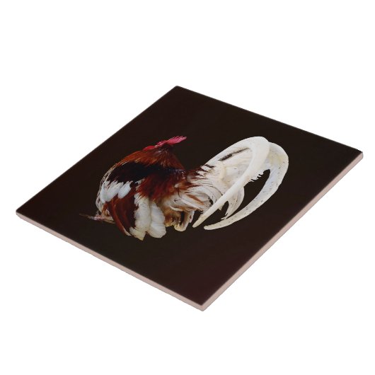 Carreau Rooster Rouge Avec Plumes De Queue Blanche (Côté)