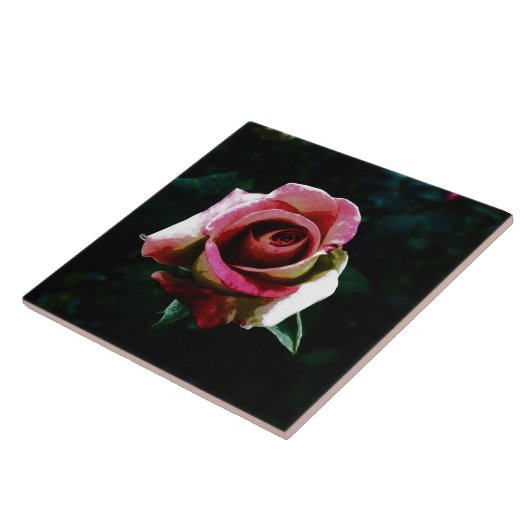 Carreau rose (Côté)