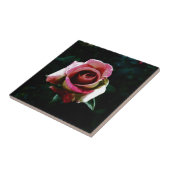 Carreau rose (Côté)