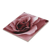 Carreau Rose (Côté)