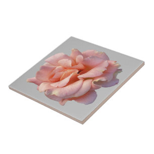Carreau rose