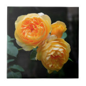 Carreau Rose anglais jaune (Devant)