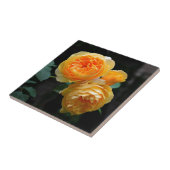 Carreau Rose anglais jaune (Côté)