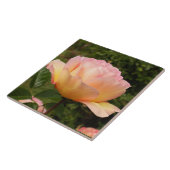 Carreau Rose Apricot (Côté)