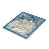 Carreau Rose blanc et pied-d'alouette de stupéfaction la (Côté)