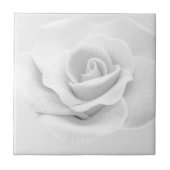 Carreau Rose blanche (Devant)