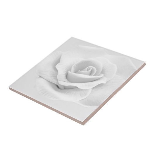 Carreau Rose blanche (Côté)