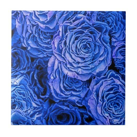 Carreau Rose bleu (Devant)