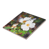 Carreau Rose cherokee de la Géorgie (Côté)