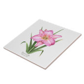 Carreau Rose Daylily Botanical Art Style (Côté)