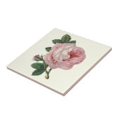 Carreau Rose de chou de Soft Pastel Pink et Feuilles verts (Côté)