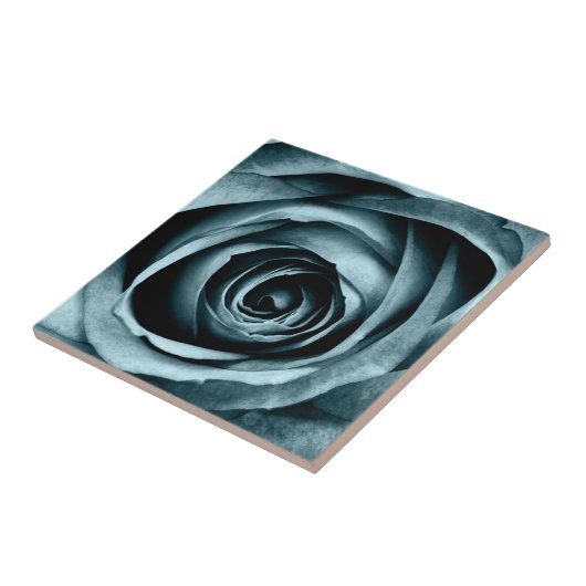 Carreau Rose de macro (Côté)