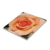 Carreau Rose de plage (Côté)