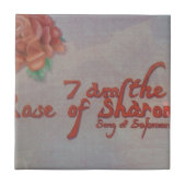 Carreau rose de Sharon (Devant)