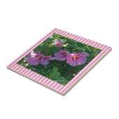 Carreau Rose de Sharon Striped (Côté)