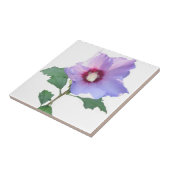 Carreau Rose de Sharron (Côté)