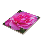 Carreau Rose délicate. (Côté)