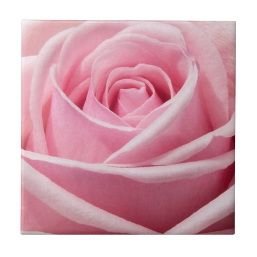 Carreau Rose douce (Devant)