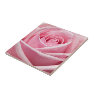 Carreau Rose douce