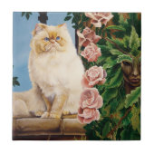 Carreau Rose du chat persan (Devant)