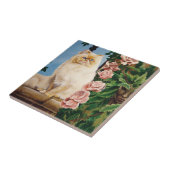 Carreau Rose du chat persan (Côté)