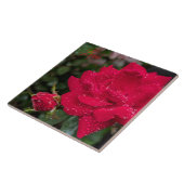 Carreau Rose du matin (Côté)