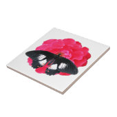Carreau Rose et Swallowtail (Côté)