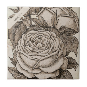 Carreau Rose gothique victorien d'Halloween vintage à Sepi