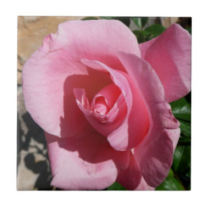 Carreau Rose III Jardin Floral