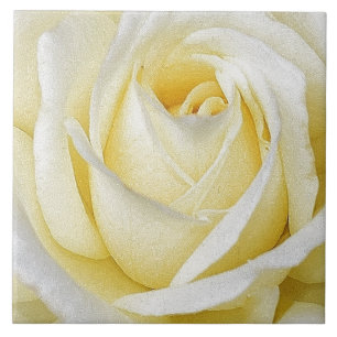 Carreau Rose jaune